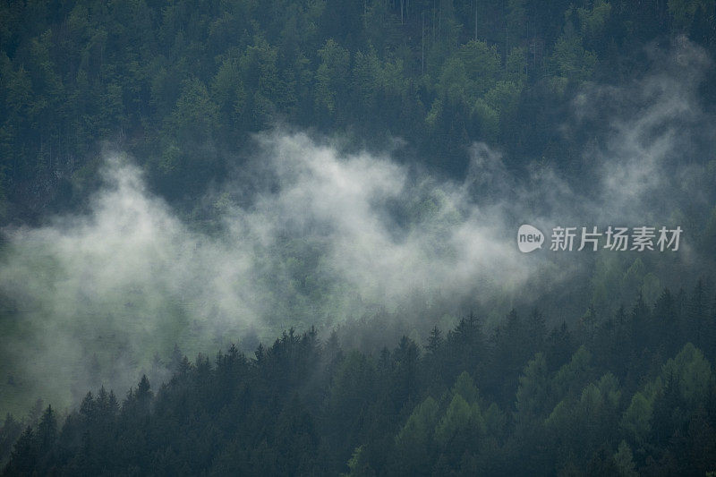 春天在Zgornje Jezersko山谷森林上空的云层